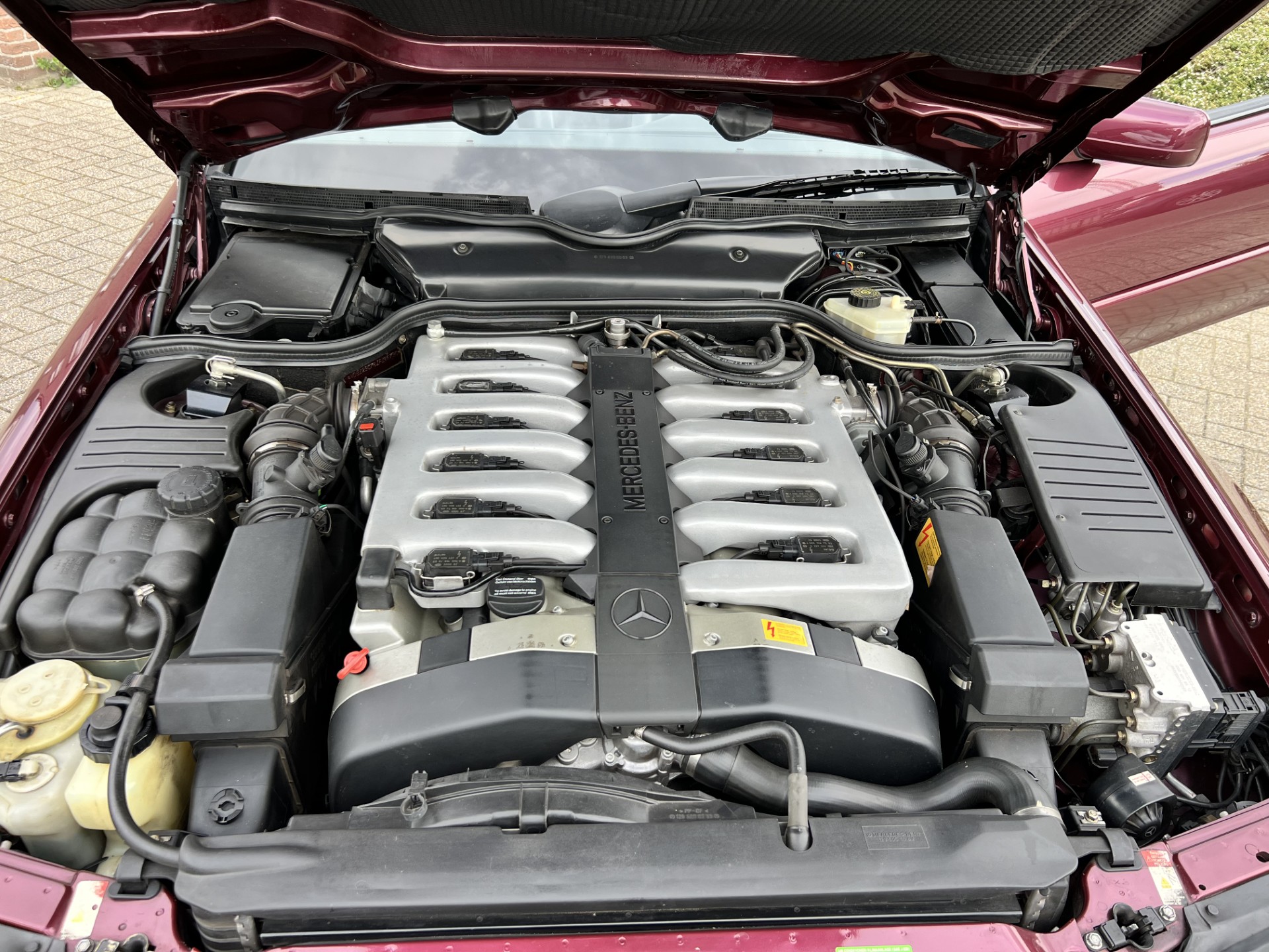38241204-29.jpg