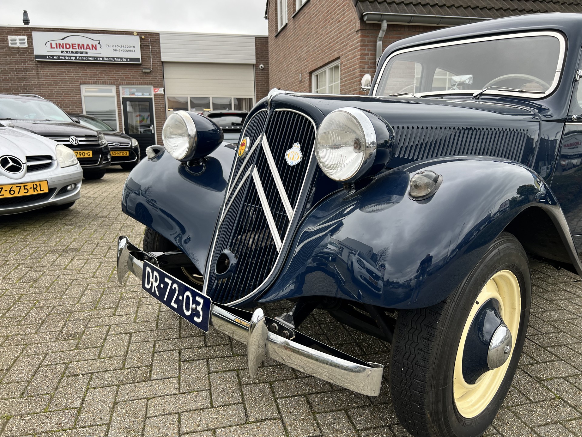 41148016-7.jpg