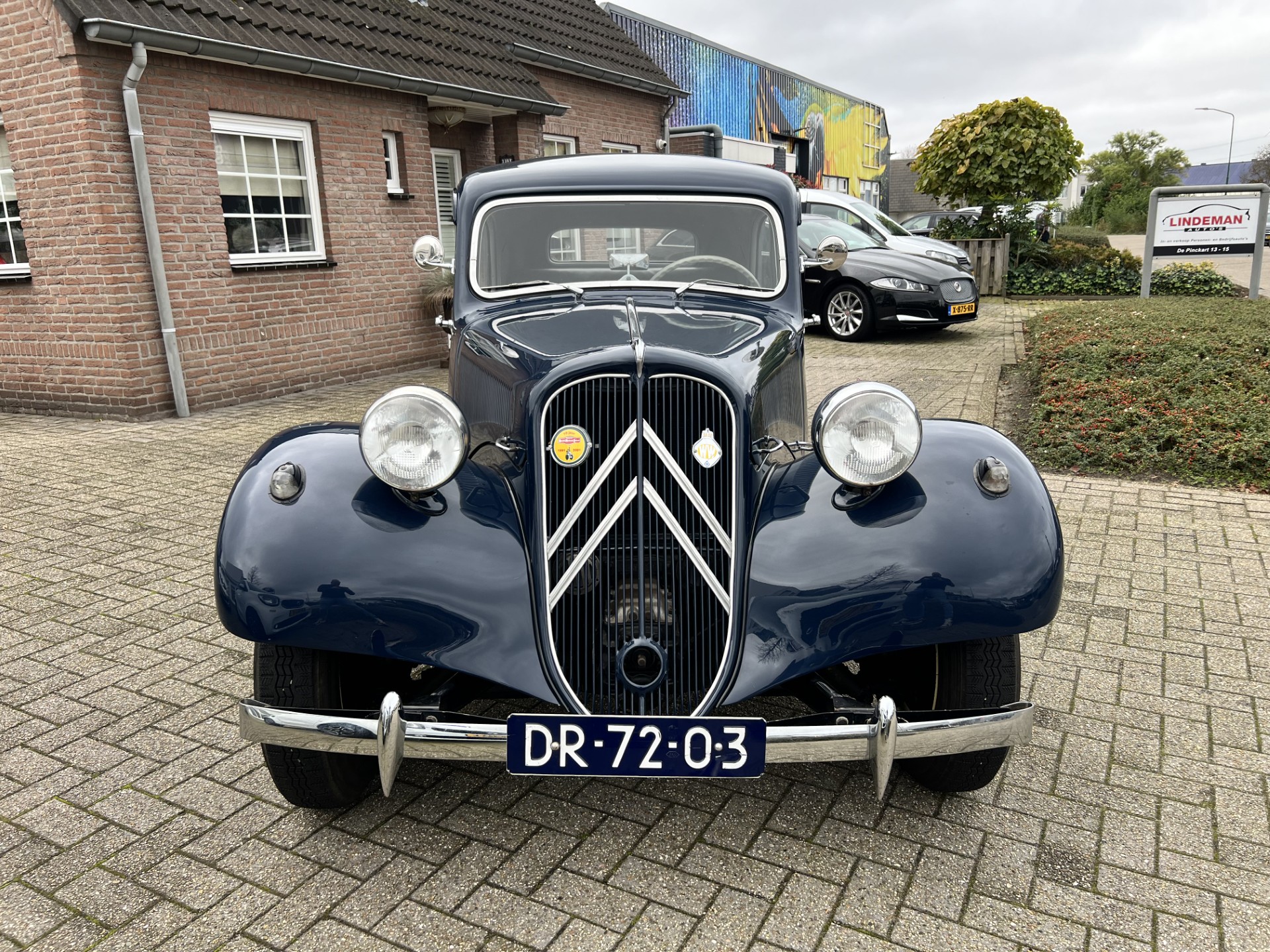 41148016-9.jpg
