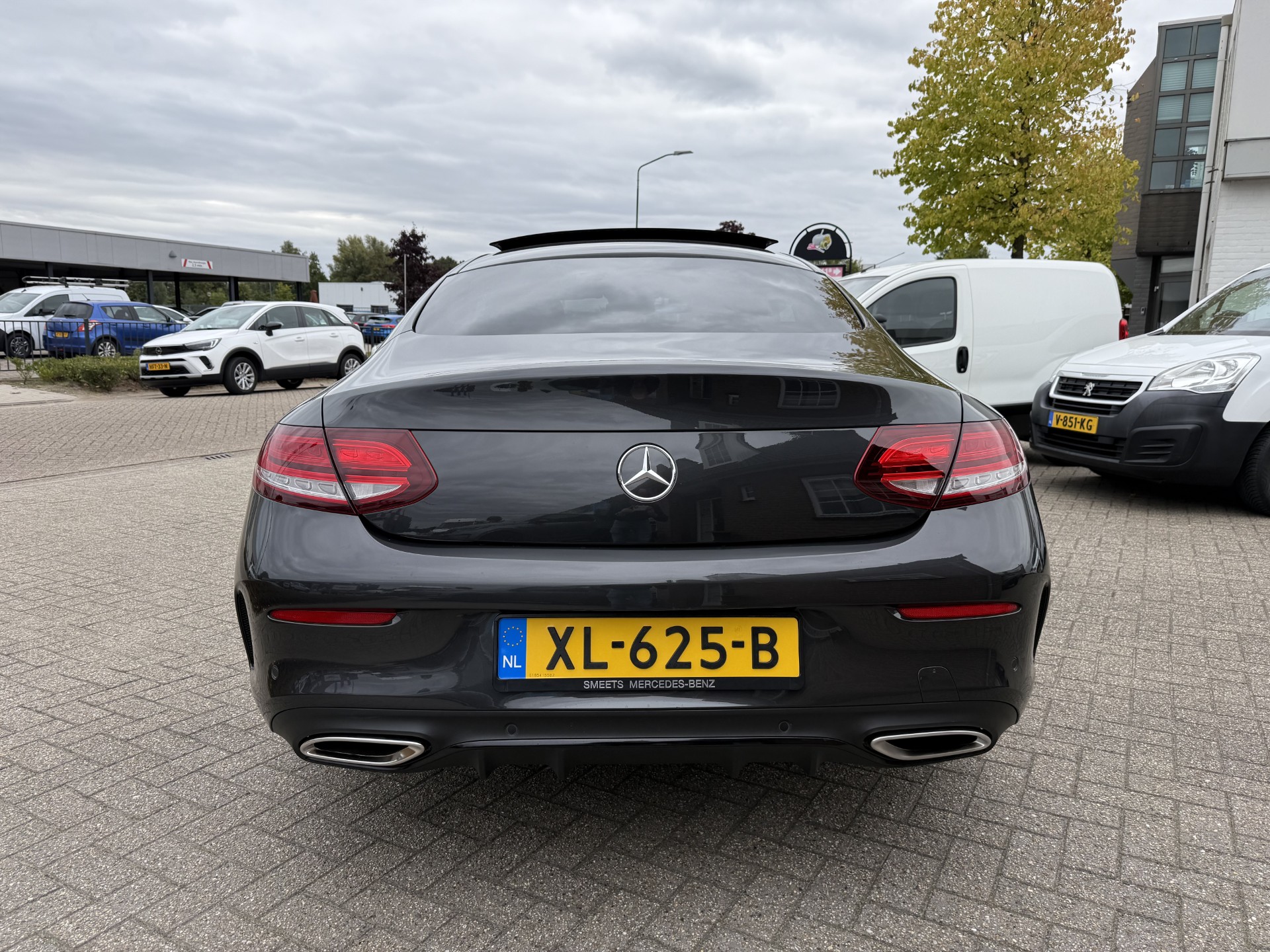 47896050-19.jpg