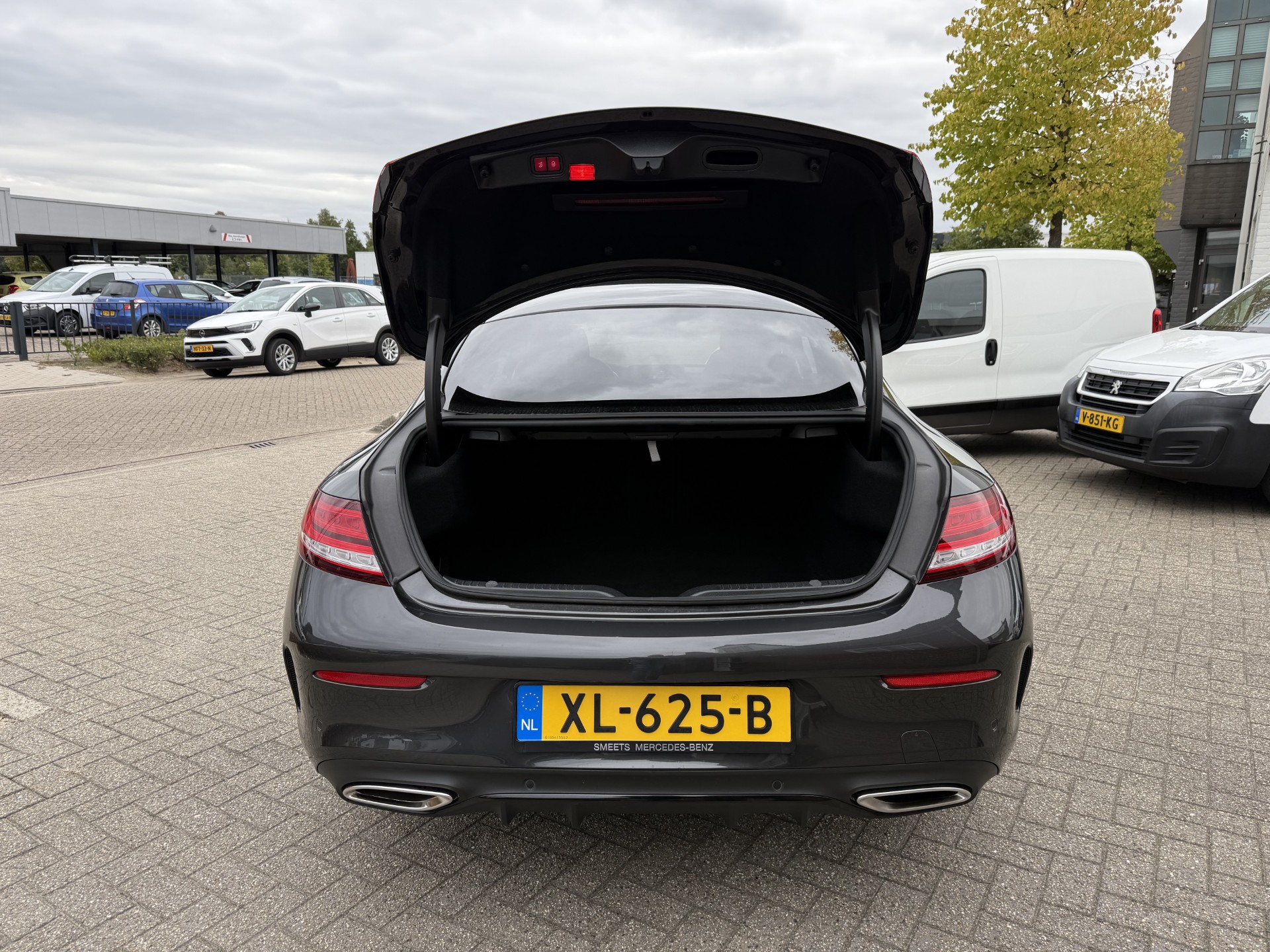 47896050-20.jpg